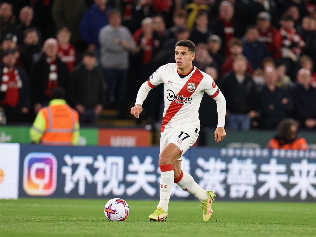 每一年的冠 每一年的冠